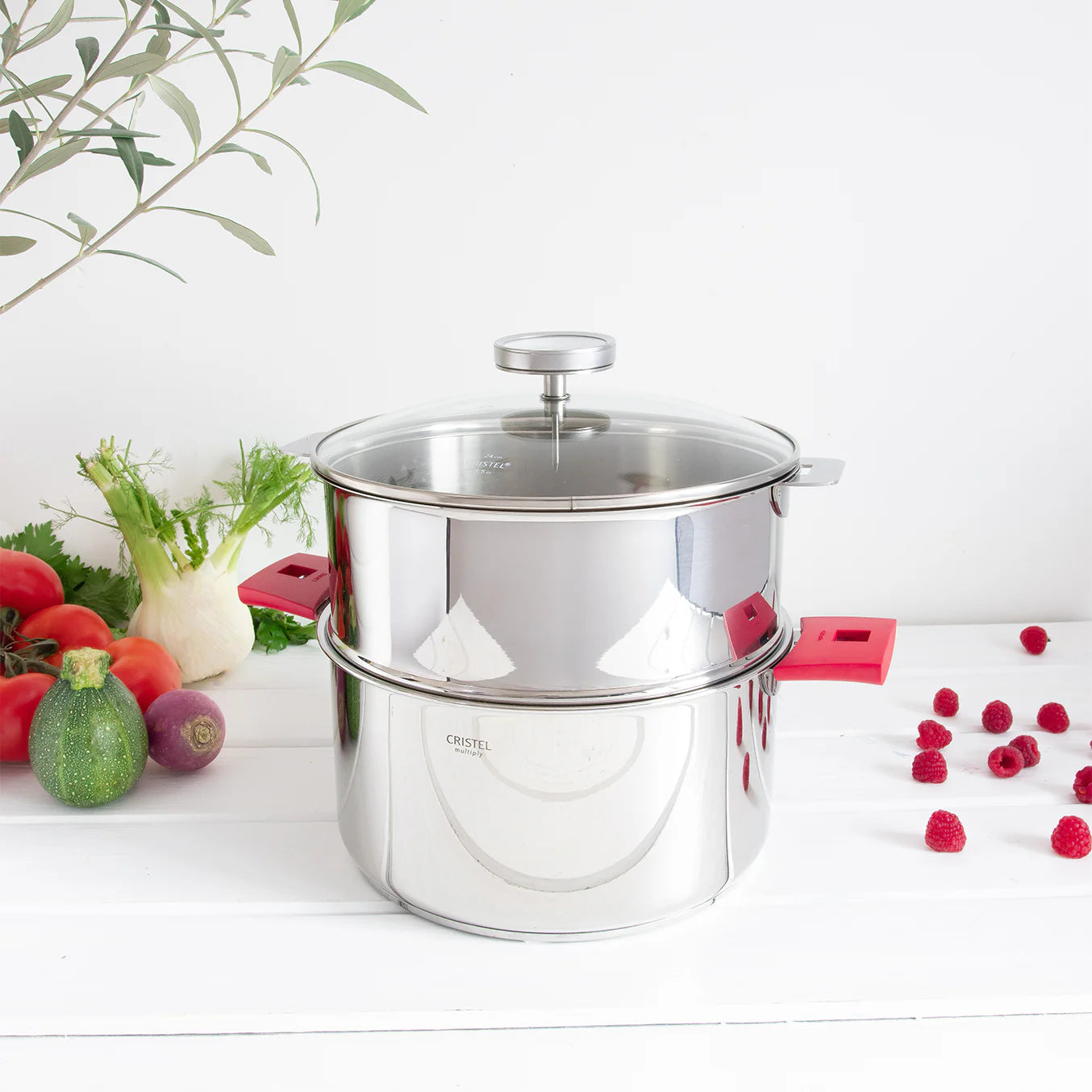 BIOME® Healthy Cooking Set by CRISTEL® | 3.5 Qt Saucepan & Steamer